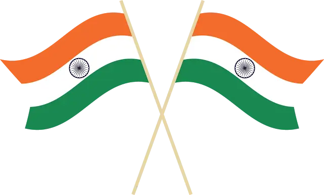 Indian Flag