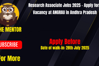 Young Professional Jobs