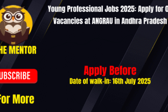Young Professional Jobs
