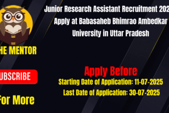 Junior Research Assistant
